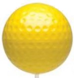 Gold Tee Marker.JPG