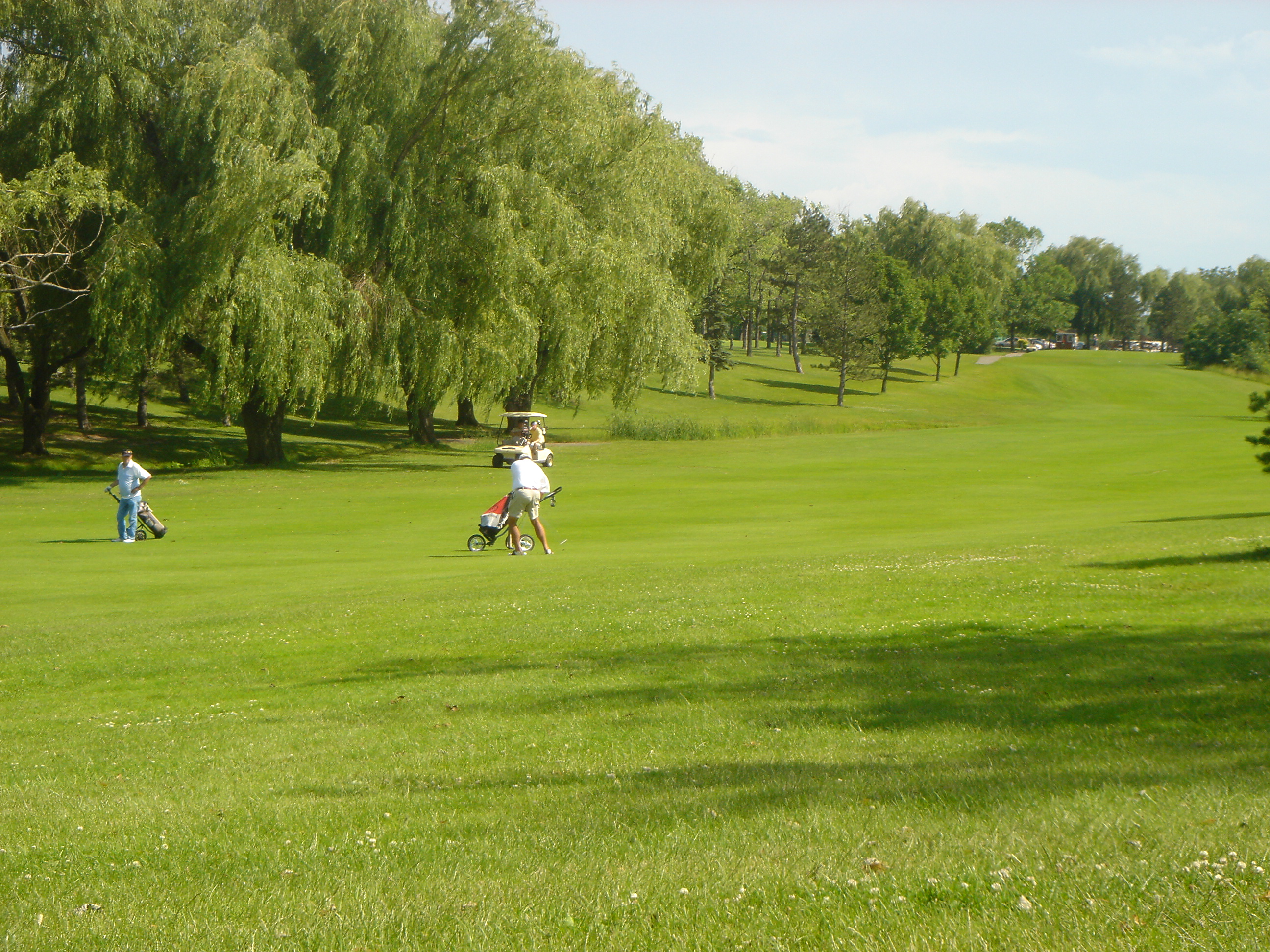 Jim Schreck's Approach On #1 (the 19th Hole of the Match)