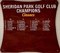 tClub Champions Board - 2015 to 2020.jpg